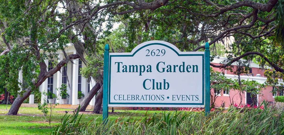 Downtown Tampa Activity